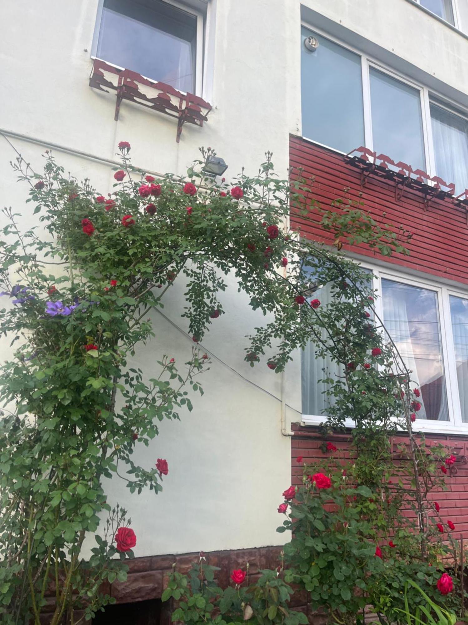 Gasthof Casa Conti *
